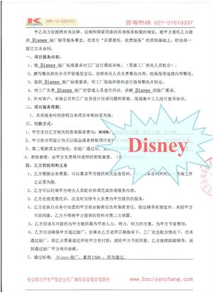 浙江樂(lè )中XX玩具生產(chǎn)有限公司合作Disney驗廠(chǎng)
