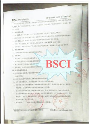 金華市xx包裝有限公司合作BSCI驗廠(chǎng)
