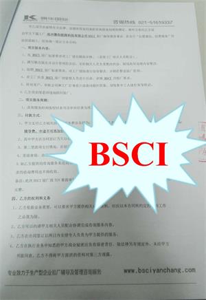 XX科技(杭州)有限公司合作bsci驗廠(chǎng)