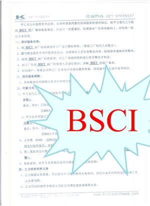 杭州XX車(chē)業(yè)有限公司合作BSCI驗廠(chǎng)