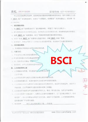 江蘇XX膠業(yè)有限公司與康華合作BSCI驗廠(chǎng)