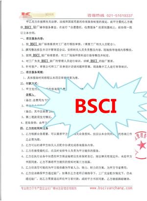 浙江XX新材料有限公司與康華合作BSCI驗廠(chǎng)