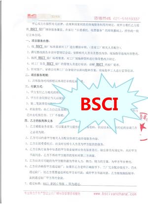 浙江XX日用品有限公司與康華合作BSCI驗廠(chǎng)