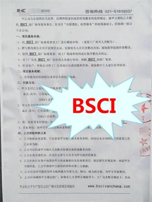 嘉興市XX日用品制造有限公司與康華合作BSCI驗廠(chǎng)