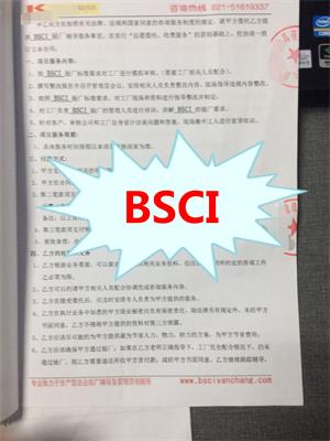 浙江XX玩具有限公司與康華合作BSCI驗廠(chǎng)