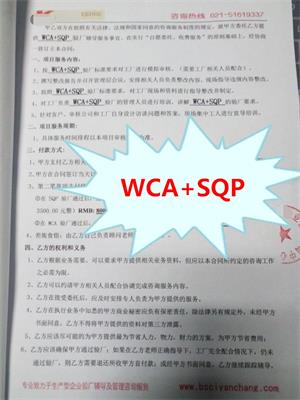義烏市XX進(jìn)出口有限公司W(wǎng)CA與康華合作
